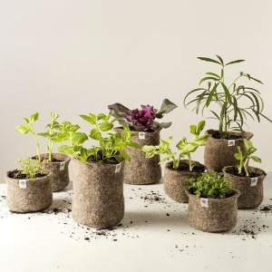 pot3_194396432