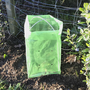seedling_shelter_1399411368