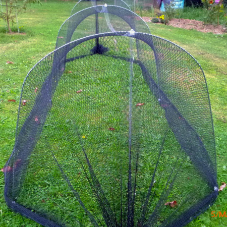 combi_bird_cloche1